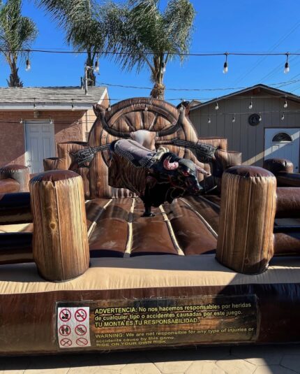 The Gunslinger Outlaw Bull