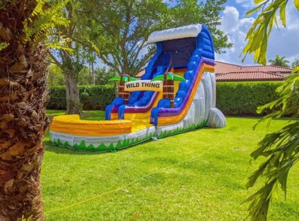 Wild Thing" Tropical Slide